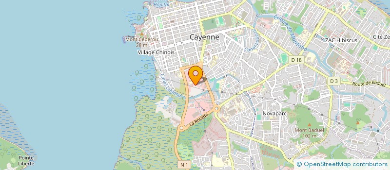 localisation de l'entreprise CHRONO COURSES EXPRESS  CAYENNE