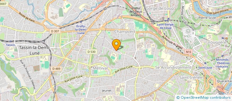 localisation de l'entreprise CHRYSALIS FORGE à LYON