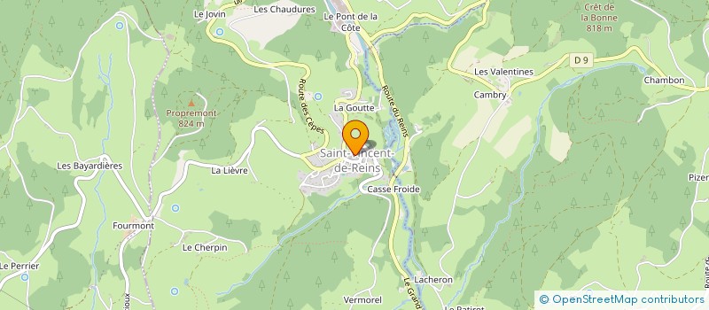 localisation de l'entreprise CHTI'SUISSE  SAINT-VINCENT-DE-REINS