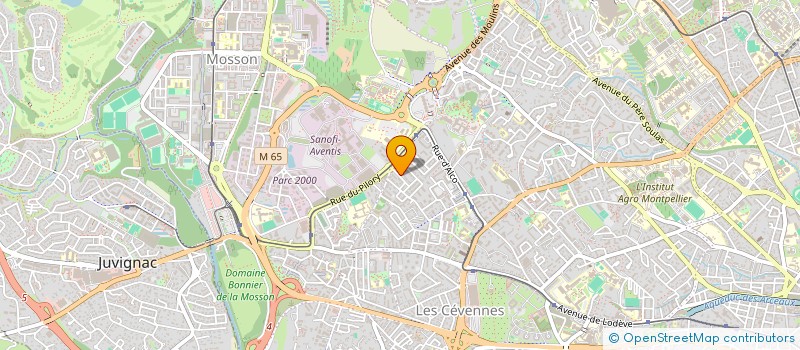 localisation de l'entreprise CIE FLAMENCA TEMPERAME ANDALUZ FLAMENCO à MONTPELLIER