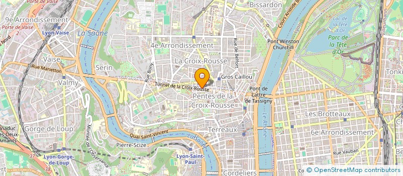 localisation de l'entreprise CIE LES QUARANTIEMES RUGISSANTS à LYON