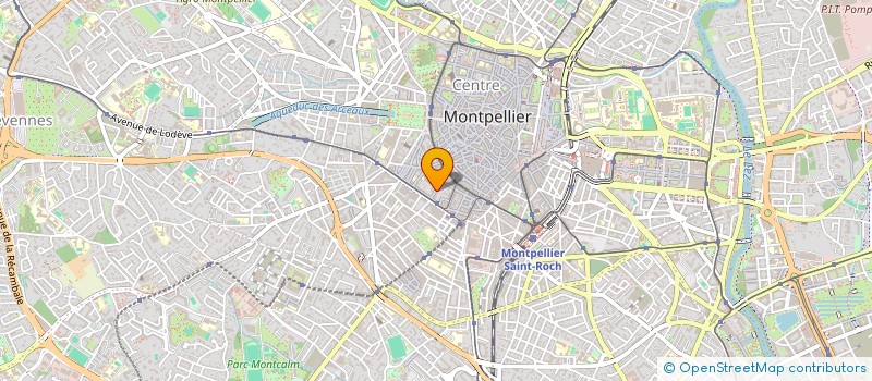 localisation de l'entreprise CIFRALEX  MONTPELLIER