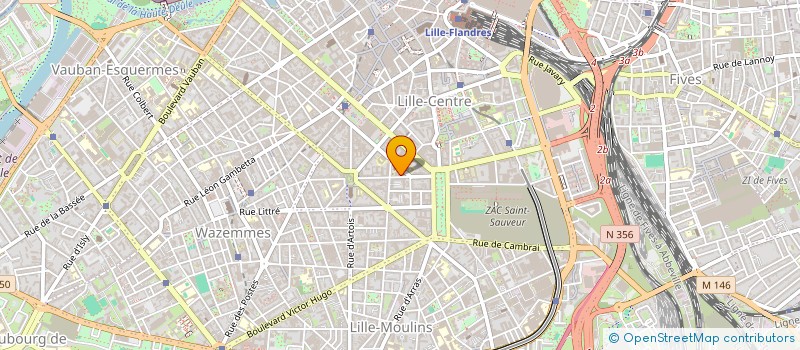 localisation de l'entreprise CINEARTS BRASILIS  LILLE