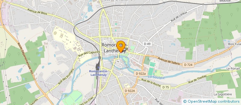 localisation de l'entreprise CINEMA PALACE DE ROMORANTIN  ROMORANTIN-LANTHENAY