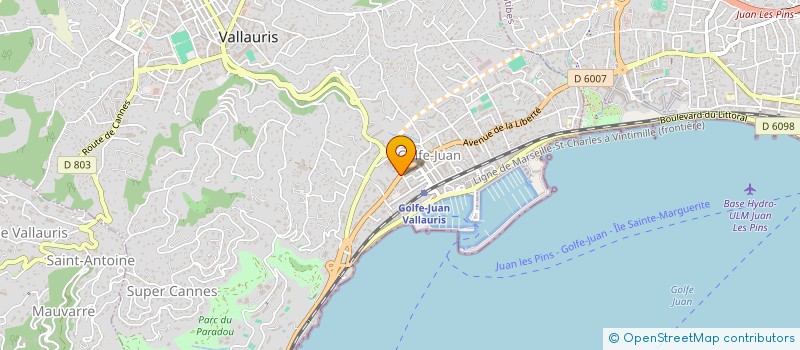 localisation de l'entreprise CINQUANTE CINQ TREIZE MD DE BIENS à VALLAURIS