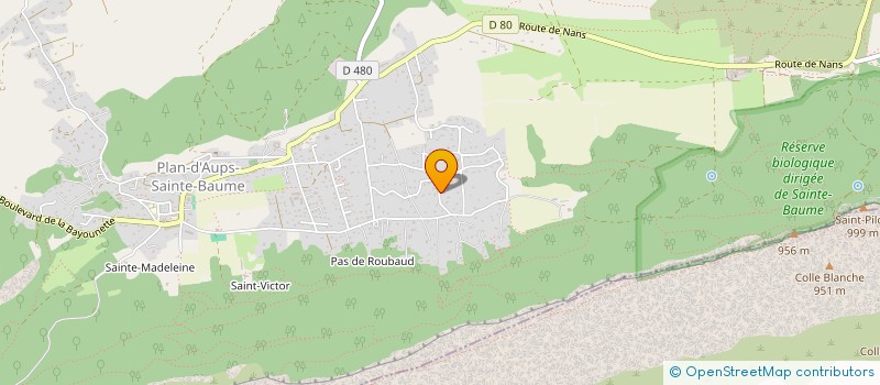 localisation de l'entreprise CITOYEN DU MONDE  PLAN-D'AUPS-SAINTE-BAUME