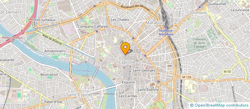 localisation de l'entreprise CITRON VERT à TOULOUSE