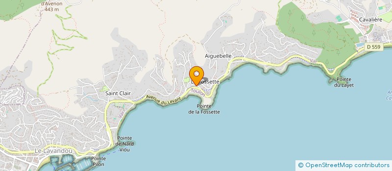 localisation de l'entreprise CITRONS ET MIMOSAS à LE LAVANDOU