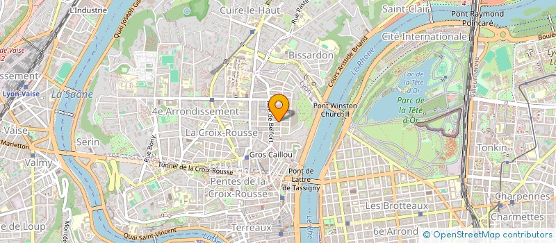 localisation de l'entreprise CL LES COUSINES à LYON