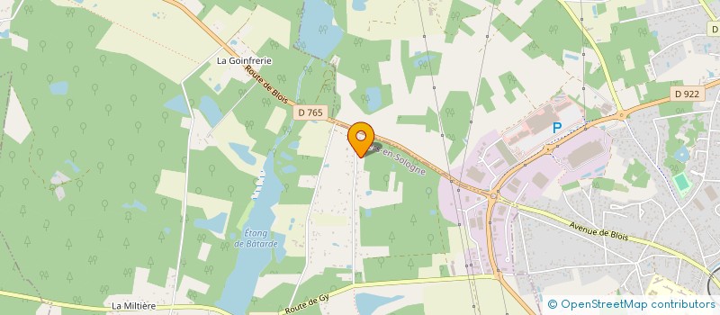 localisation de l'entreprise CLDO CONSEILS  PRUNIERS-EN-SOLOGNE