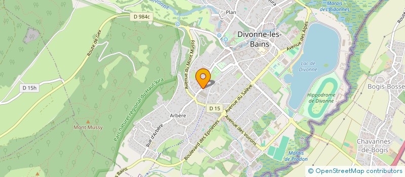localisation de l'entreprise CLEAN CAR SERVICE à DIVONNE-LES-BAINS