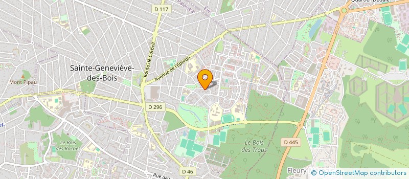 localisation de l'entreprise CLEAN-E SOFA à SAINTE-GENEVIEVE-DES-BOIS