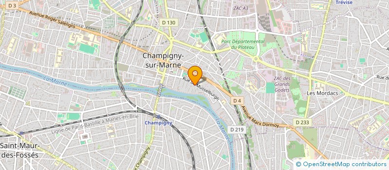 localisation de l'entreprise CLEAN SERVICE ELITE à CHAMPIGNY-SUR-MARNE