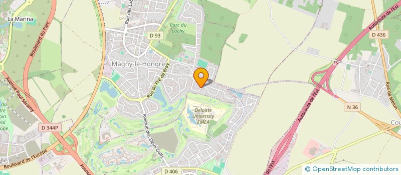 localisation de l'entreprise CLEANING SERVICE MAGNOLIA  MAGNY-LE-HONGRE