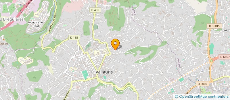 localisation de l'entreprise CLEMENTINE à VALLAURIS