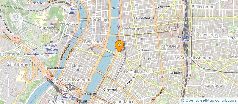 localisation de l'entreprise CLEMENTINE DIANE 1  LYON