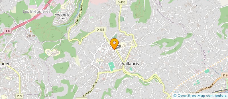 localisation de l'entreprise CLEVA à VALLAURIS