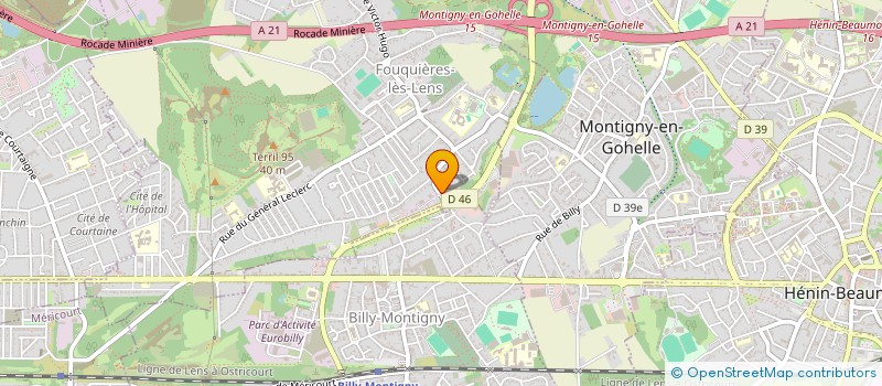 localisation de l'entreprise CLINIQUE VETERINAIRE DANTON  FOUQUIERES-LES-LENS