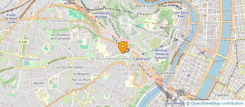 localisation de l'entreprise CLINIQUE VETERINAIRE DE TRION à LYON