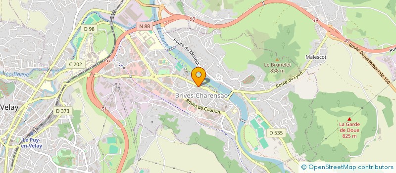 localisation de l'entreprise CLINIQUE VETERINAIRE DES BORDS DE LOIRE  BRIVES-CHARENSAC