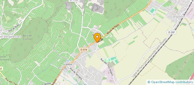 localisation de l'entreprise CLINIQUE VETERINAIRE DES DEUX CEPAGES à LADOIX-SERRIGNY