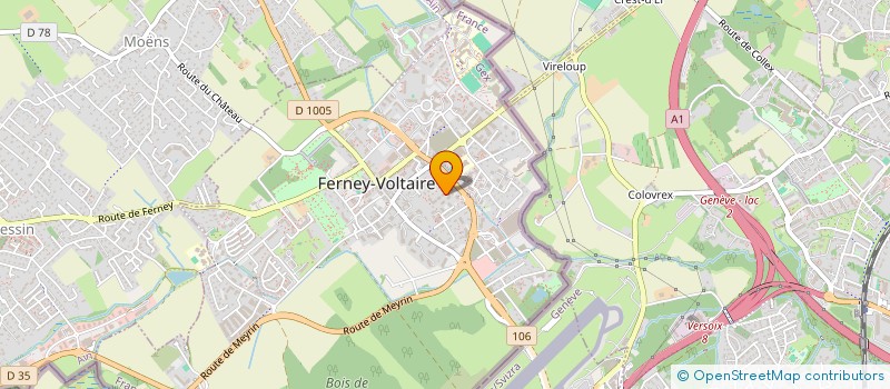 localisation de l'entreprise CLINIQUES DE SOINS PRENATALS ET ACCOUCHEMENTS SURS EN AFRIQUE (CLIPASA) à FERNEY-VOLTAIRE