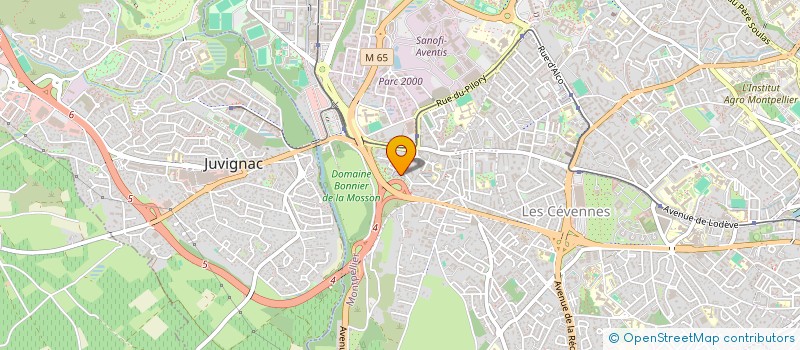 localisation de l'entreprise CLOUD VGP à MONTPELLIER