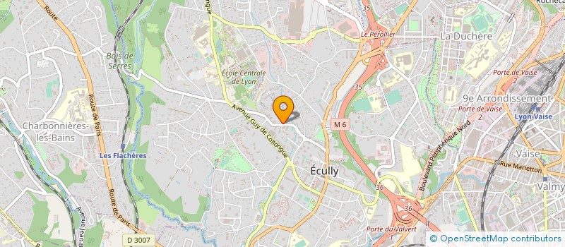 localisation de l'entreprise CLT AUDIT ET CONSEIL  ECULLY