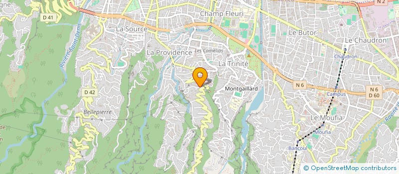 localisation de l'entreprise CLUB BOULISTE MONTGAILLARD  SAINT-DENIS