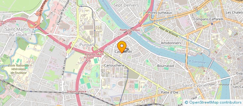 localisation de l'entreprise CLUB CASSELARDIT-FONTAINES à TOULOUSE