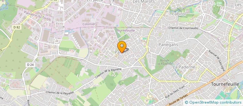 localisation de l'entreprise CLUB CPN LES FELES DES FELINS  TOURNEFEUILLE