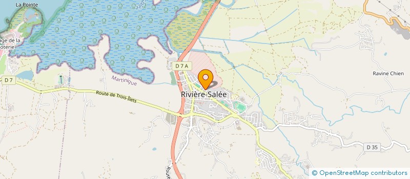 localisation de l'entreprise CLUB D'EDUCATION CANINE SALEEN  RIVIERE-SALEE