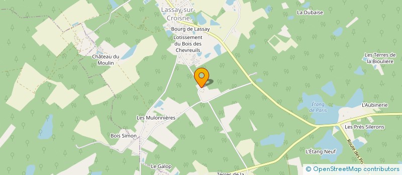 localisation de l'entreprise CLUB DE GYMNASTIQUE DE GY EN SOLOGNE  GY-EN-SOLOGNE