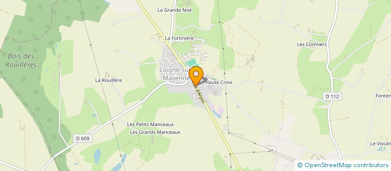 localisation de l'entreprise CLUB DE L'AMITIE DE LOIGNE SUR MAYENNE  LA ROCHE-NEUVILLE