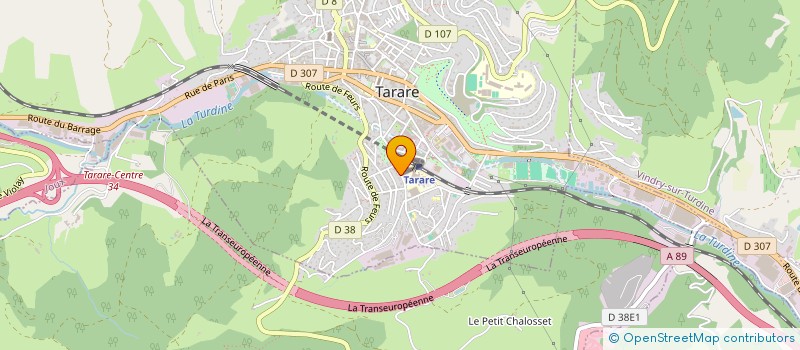 localisation de l'entreprise CLUB DE NATATION DE TARARE à TARARE