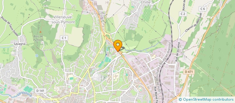 localisation de l'entreprise CLUB DE PLONGEE LEDONIEN à LONS-LE-SAUNIER