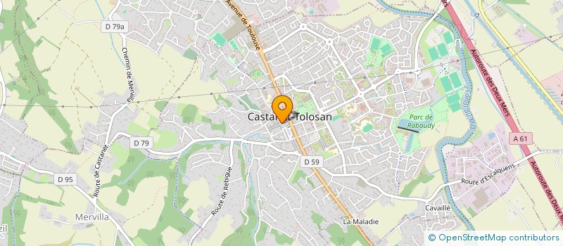 localisation de l'entreprise CLUB DES AINES à CASTANET-TOLOSAN
