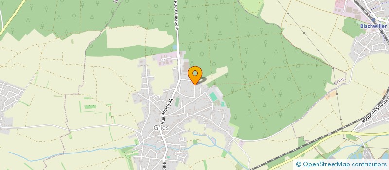 localisation de l'entreprise CLUB DES ELEVEURS DE PIGEONS DE RACE DE HAGUENAU ET ENVIRONS  GRIES