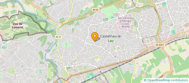 localisation de l'entreprise CLUB DU 3EME AGE ROSE DE FRANCE  CASTELNAU-LE-LEZ