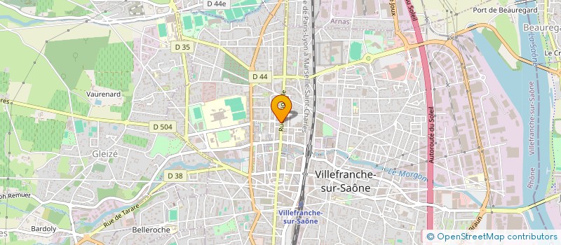 localisation de l'entreprise CLUB DU CHIEN DE TRAVAIL DE VILLEFRANCHE  VILLEFRANCHE-SUR-SAONE