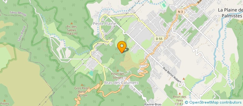 localisation de l'entreprise CLUB ENERGY PLAINE DES PALMISTES  LA PLAINE-DES-PALMISTES