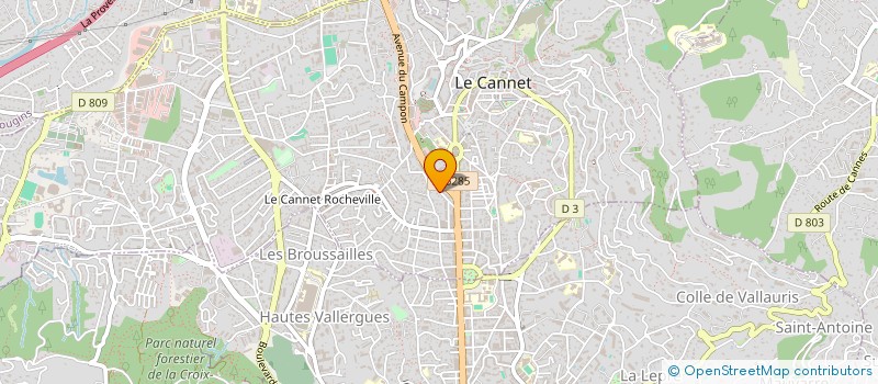 localisation de l'entreprise CLUB FLAIR ET CROS AZUREEN à LE CANNET