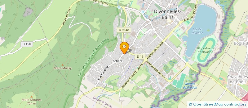 localisation de l'entreprise CLUB HELI-DIVONNE à DIVONNE-LES-BAINS