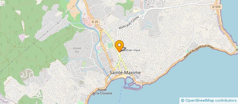 localisation de l'entreprise CLUB INFORMATIQUE DU GOLFE SAMBRACITAIN à SAINTE MAXIME
