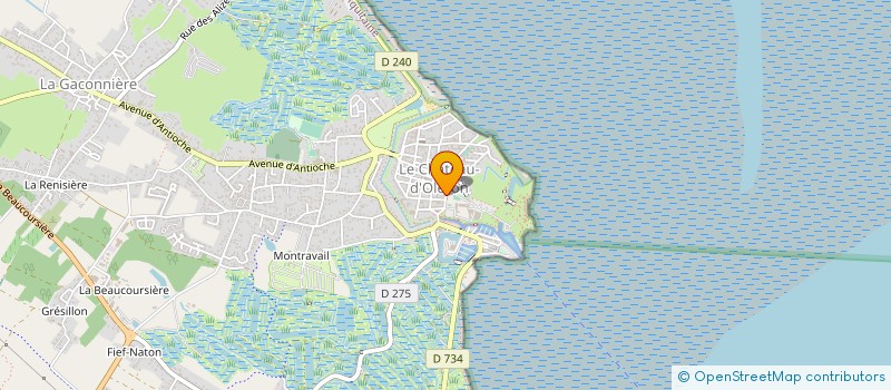 localisation de l'entreprise CLUB MONTAGNE ESCALADE DU CHATEAU D OLERON  LE CHATEAU D OLERON