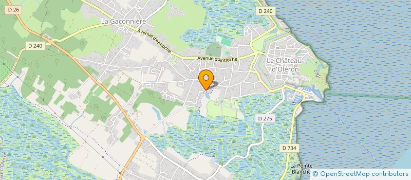 localisation de l'entreprise CLUB PONGIST	  CLUB PONGISTE DU PAYS MARENNES OLERON  BOURCEFRANC-LE-CHAPUS