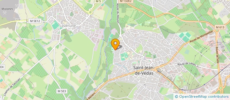 localisation de l'entreprise CLUB TAURIN L ENCIERRO  SAINT-JEAN-DE-VEDAS