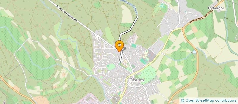 localisation de l'entreprise CLUN DES AINES  CASTRIES