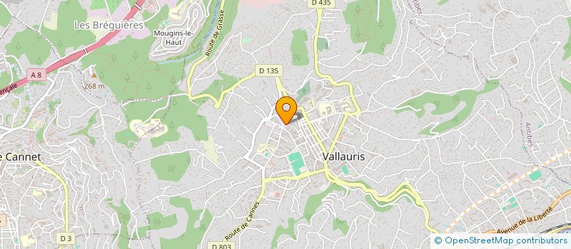 localisation de l'entreprise CM à VALLAURIS