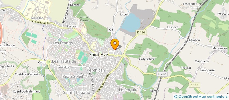 localisation de l'entreprise CMCONSULTING  SAINT-AVE